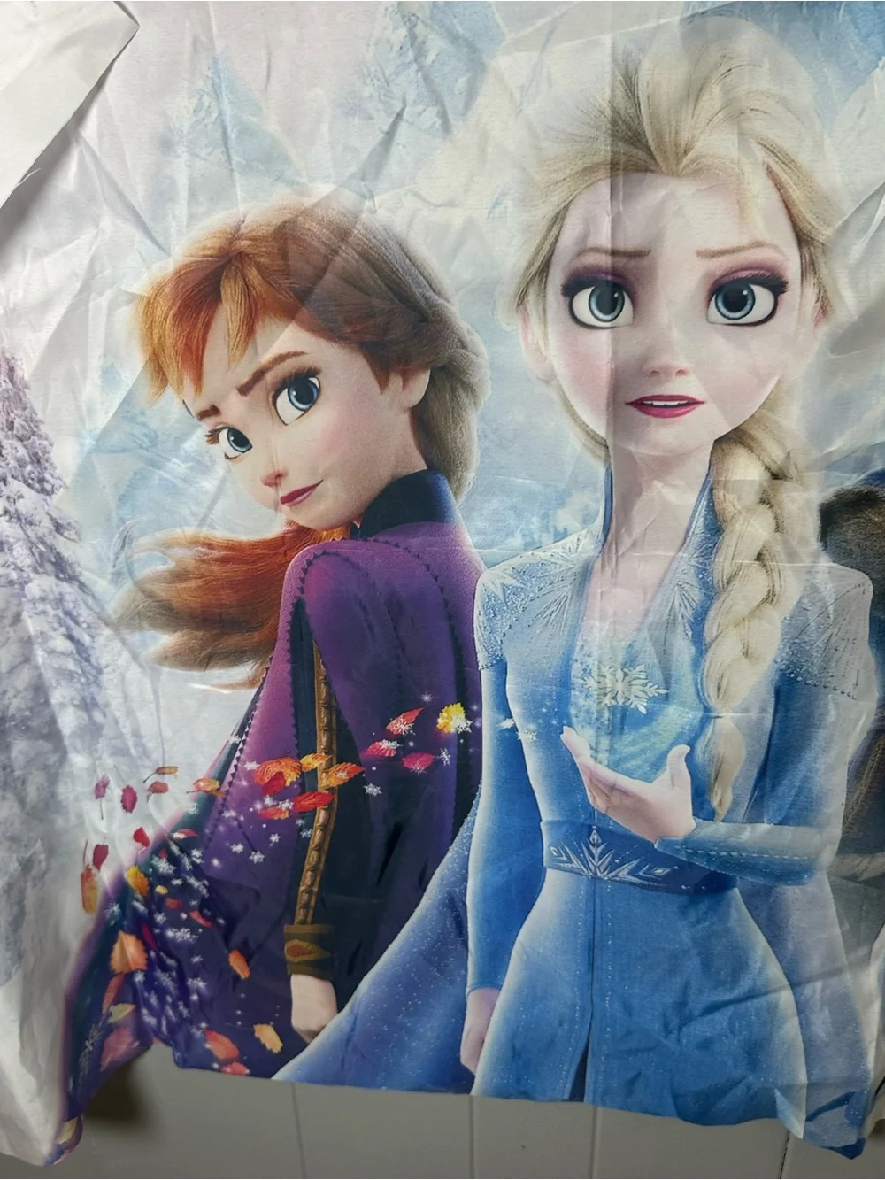 Disney Frozen Party happy birthday Backdrop - Blue, Purple, White 60x40